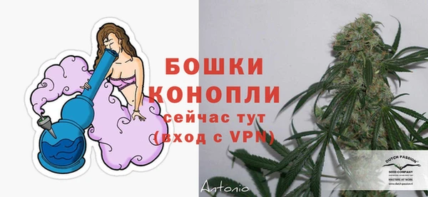 гидра Арсеньев