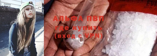 гидра Арсеньев