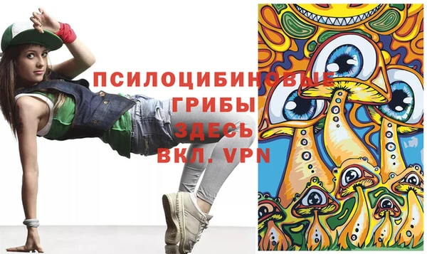 гидра Арсеньев