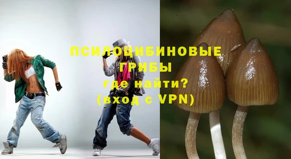 гидра Арсеньев