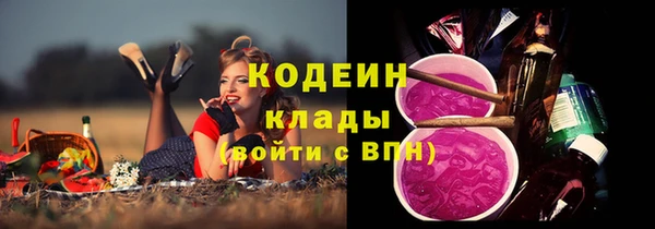 гидра Арсеньев