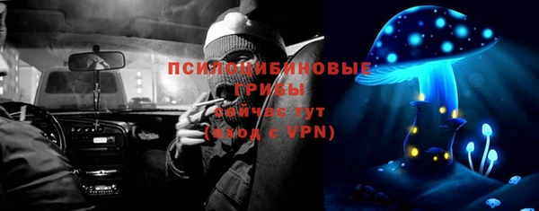 круглые Аркадак