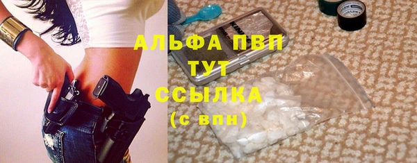 гидра Арсеньев