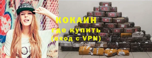 гидра Арсеньев